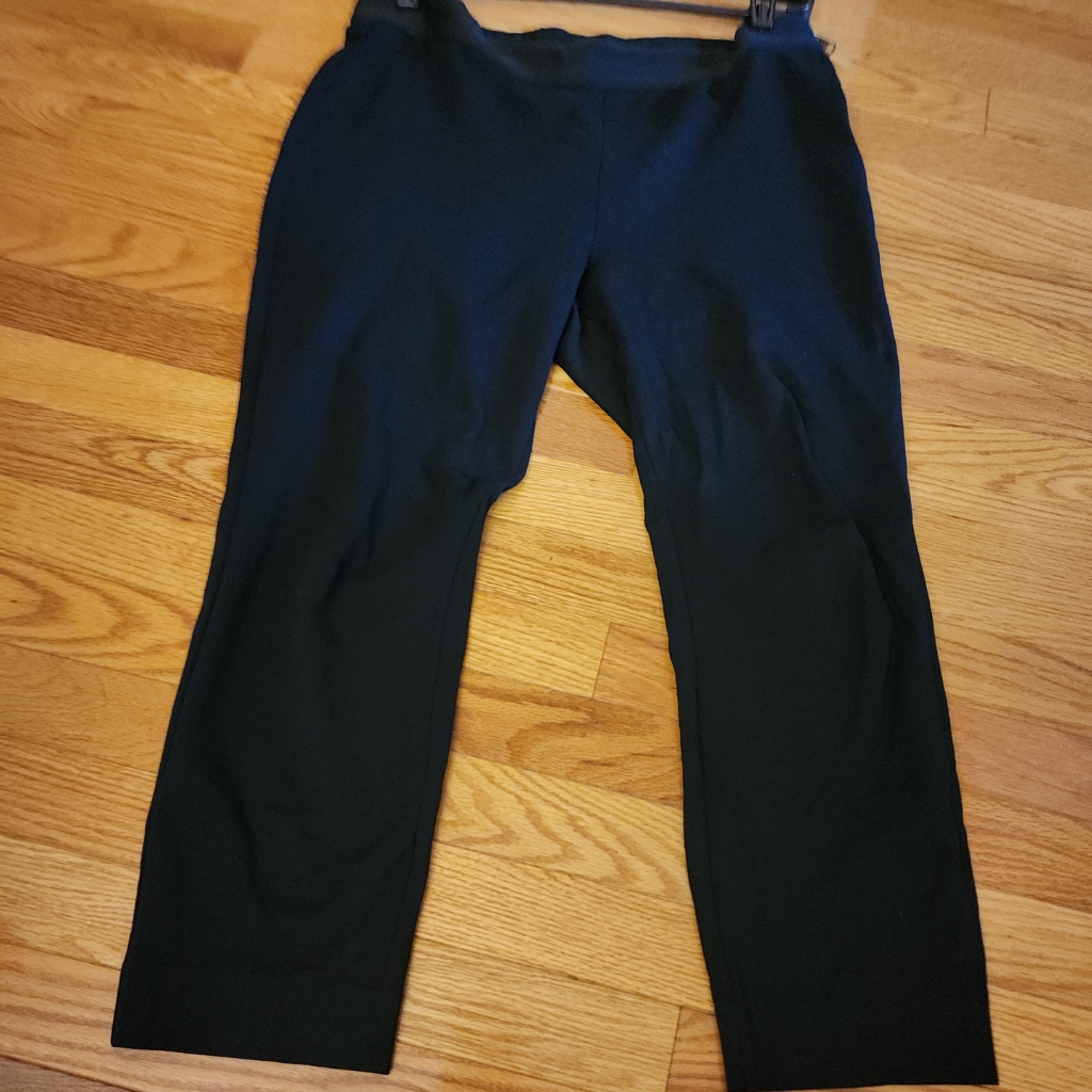 Everlane Stretch Pants